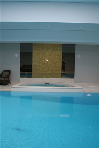 SILVER Award 2011 Inground Domestic Spa and Health Pool