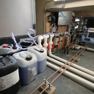 Subterranean Plantroom